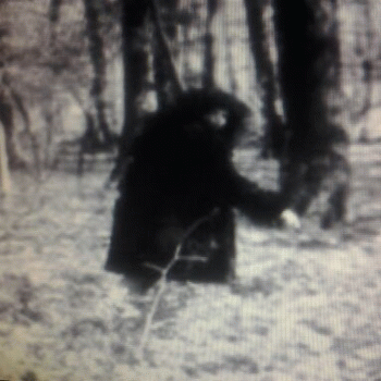 Sloth (USA-2) : 3-24-14